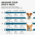 BRONZEDOG Rolled Leather Dog Collar for Small Medium Large Dogs with QR ID Tag (S: 12-14 Inch, Ocean Blue)