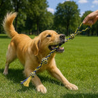 Dog Rope Toys Heavy Chew Toys for Medium & Large Breed Dogs – Durable Rope Toy Set for Teething, Chewing, and Interactive Play(Set of 2 Toys)