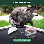 FXW TitanNest Chew-Proof Elevated Dog Bed, Raised Cot for Indoor/Outdoor/Camping Use, Durable & Waterproof Cooling Pet Bed for Medium Dogs, 41.0" L x 27.0" W x 5.0" H, Black