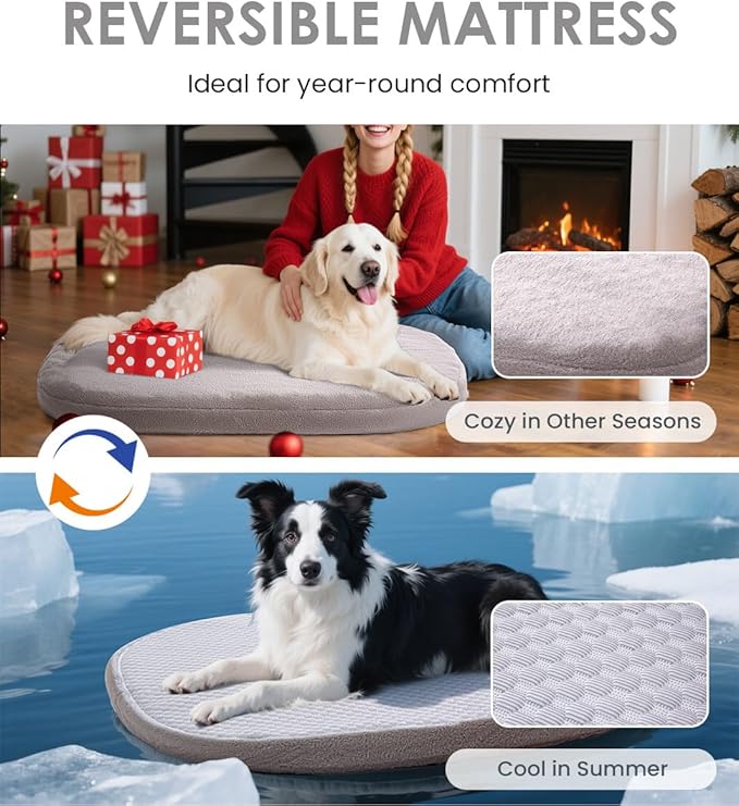 Orthopedic Dog Bed for Large Dogs, Pet Sofa Bed with Egg Crate Foam, 4-Sided Bolster, Removable Washable Cover & Anti-Slip Bottom, X-Large Beige Bone