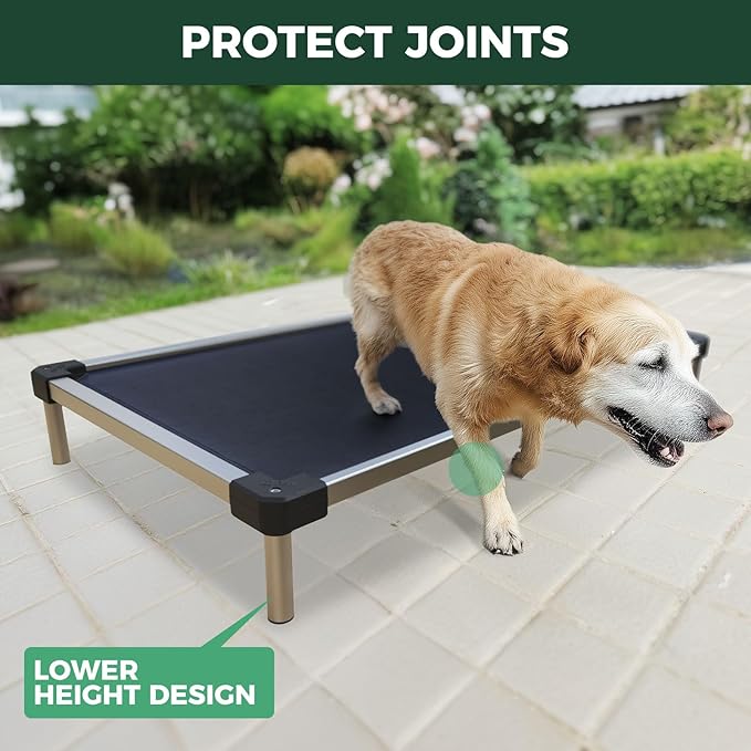 FXW TitanNest Chew-Proof Elevated Dog Bed, Raised Cot for Indoor/Outdoor/Camping Use, Durable & Waterproof Cooling Pet Bed for Medium Dogs, 42.0" L x 27.0" W x 5.0" H, Black