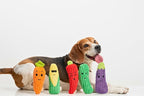 Squeaky Dog Plush Toy, Bite_Stick Collection, 8'', for Small and Medium Dogs (Carrot)