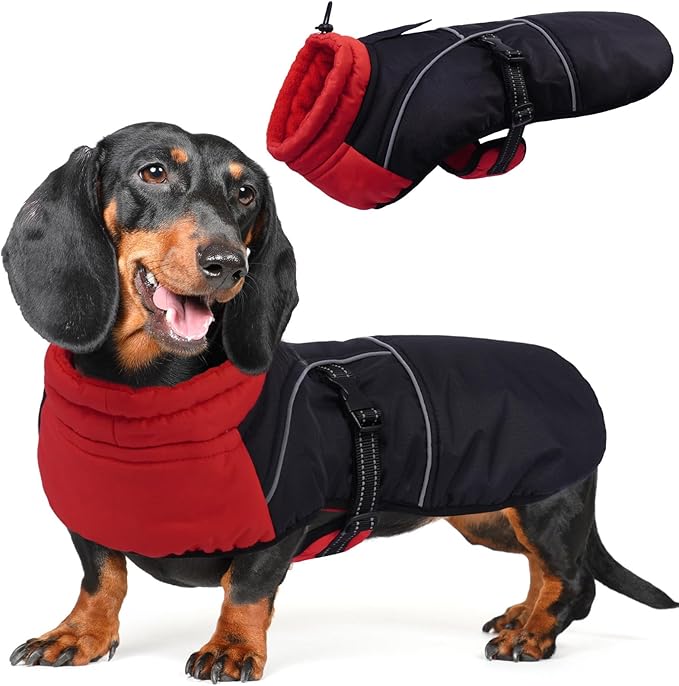 DORA BRIDAL Dachshund Coat, Fleece Lined Dog Winter Coat, Warm Dog Coats with Reflective Strips, Adjustable Waterproof Pet Jacket Clothes, S