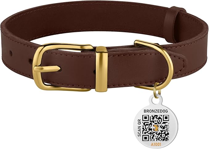 BRONZEDOG Leather Dog Collar with Metal Buckle Durable Basic Pet Collars for Small Medium Large Dogs (11-13 Inch (Pack of 1), Dark Brown & Gold Buckle)