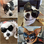 Namsan Dog Goggles Small Breeds, UV Protection Dog Glasses for XSmall to Small Dogs, Chihuahua Sunglases Windproof Dustproof Driving Eye Protection, Adjustable, Panda Black