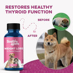 Weight & Thyroid Support for Dogs and Cats, Natural Solution for Hunger Control, Metabolism Support, Optimal Thyroid Function, Effective Dog & Cat Weight Loss, 400 Odorless, Tasteless Pills