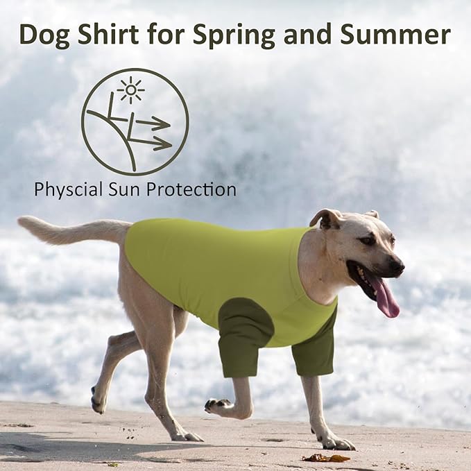 2 Pack Dog Shirt for Medium Dogs - Soft Breathable Summer Cool Tee, Lightweight Comfortable Clothes for Sensitive Skin, Jack Russell, Shihtzu, Indoor Lounging, Walking, Park Play, Green