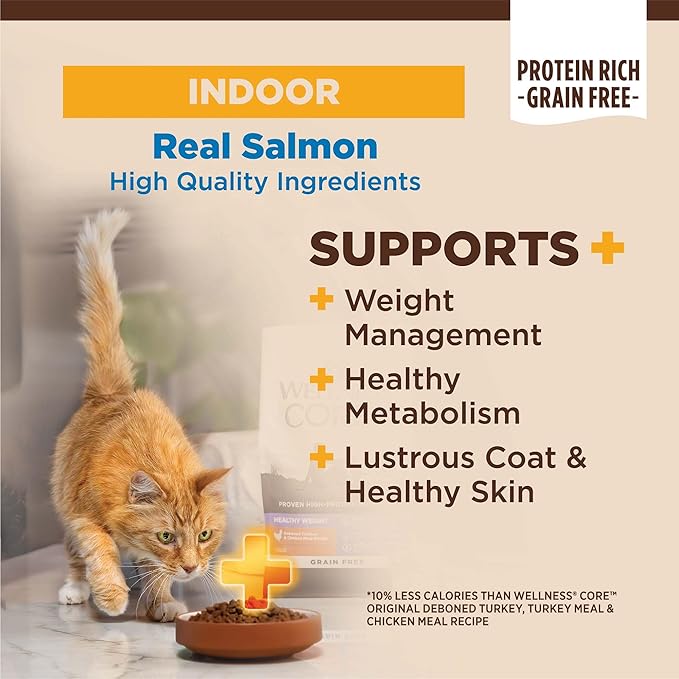 Wellness CORE+ Adult Dry Cat Food for Indoor Cats, Grain-Free, Natural, Salmon and Herring Meal (11 Pound Bag)
