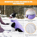 iBuddy Dog Winter Jackets with Fleece Vest,Waterproof Warm Dog Snow Jacket Windproof, Reflective Adjustable Pet Dogs Cold Winter Coat for Large Dogs Girl Boy