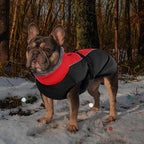 IECOii Extra Warm Reflective Adjustable Dog Jacket - Fleece Turtleneck Winter Coat for Small, Medium, Large Dogs in Cold Weather