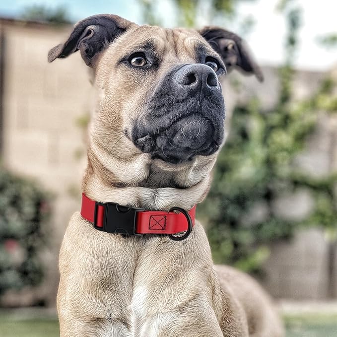 Dogline Biothane Waterproof Dog Collar with Quick Release Buckle Strong Coated Nylon Webbing with Odor- Proof for Easy Care Easy to Clean Fits Small Medium or Large Dogs, Red 1" W 15-23" L