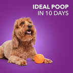 IAMS Advanced Health Healthy Digestion Adult Dry Dog Food with Real Chicken, 6 lb. Bag