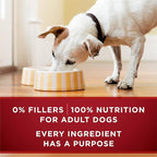 Purina ONE High Protein Wet Dog Food True Instinct Tender Cuts in Dog Food Gravy With Real Beef and Wild-Caught Salmon - (Pack of 12) 13 oz. Cans