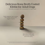 Now Fresh Good Gravy, Bone Broth Coated Kibble, Dry Dog Food, Chicken Adult Recipe with Grains, All Breed Size, 3.5 lb Bag