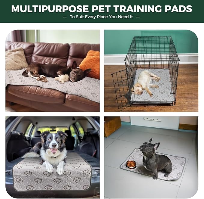 FXW Washable Pee Pads for Dogs, Puppy Pads with Super Absorbent, Specifically Designed for 42inch Cages, 41" × 27" Rectangle, Khaki, 1 Pack