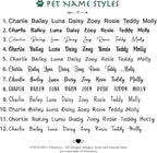 Ultra Joys Cat ID Tag Personalized Pet Tags, Durable Stainless Steel Small Pet Mini Dog Cat Tag Lightweight - House Tag in Gold
