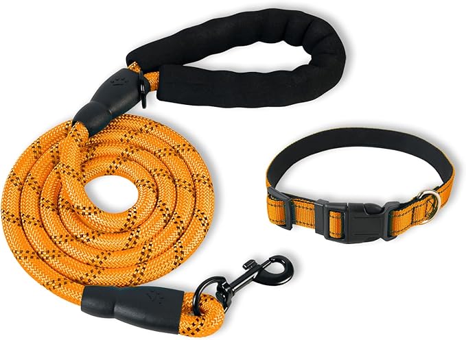 Nylon Dog Leash for Medium Large Dogs, 5-FTReflective Heavy Duty Leash with Comfortable Handle & Poop Bag Dispenser Ring, 1/2 Inch Wide, Secure Reinforcement for Walking (Orange, M)