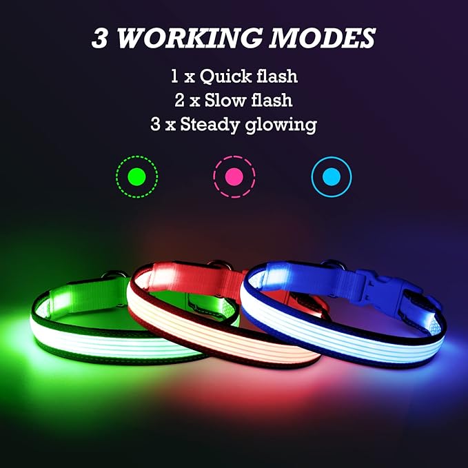 YFbrite Full Adjustbale LED Dog Collar, Full Illuminated Light up Dog Collars, Reflective Dog Collar Light Glowing in The Dark for All Dogs Safety (Small, Blue-2)