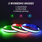 YFbrite Full Adjustbale LED Dog Collar, Full Illuminated Light up Dog Collars, Reflective Dog Collar Light Glowing in The Dark for All Dogs Safety (Large, Blue-2)