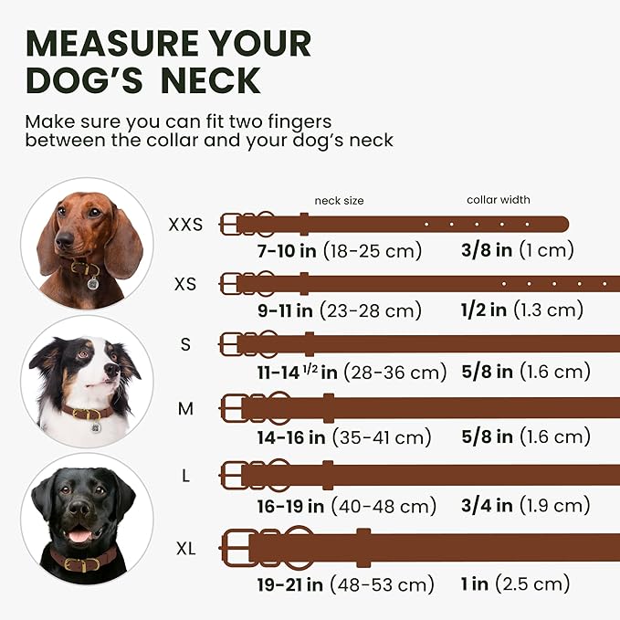 BronzeDog Rolled Leather Dog Collar with QR ID Tag, Adjustable Soft Round Collars for Small Medium Large Dogs Puppy (19" - 21" Neck Size, Cognac Brown)