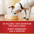 Purina ONE Plus Tender Cuts in Gravy Healthy Weight Lamb and Brown Rice Entree in Wet Dog Food Gravy - (Pack of 12) 13 oz. Cans