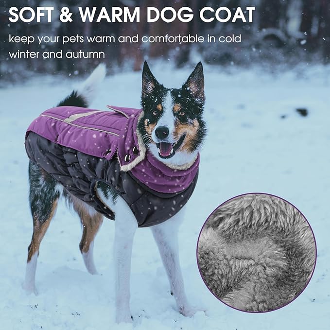 Queenmore Warm Fleece Dog Jacket - Cold Weather Waterproof Snow Coat With Leash Hole, Reflective Turtleneck Snowsuit for Small Medium & Large Dogs (Purple, 2XL)