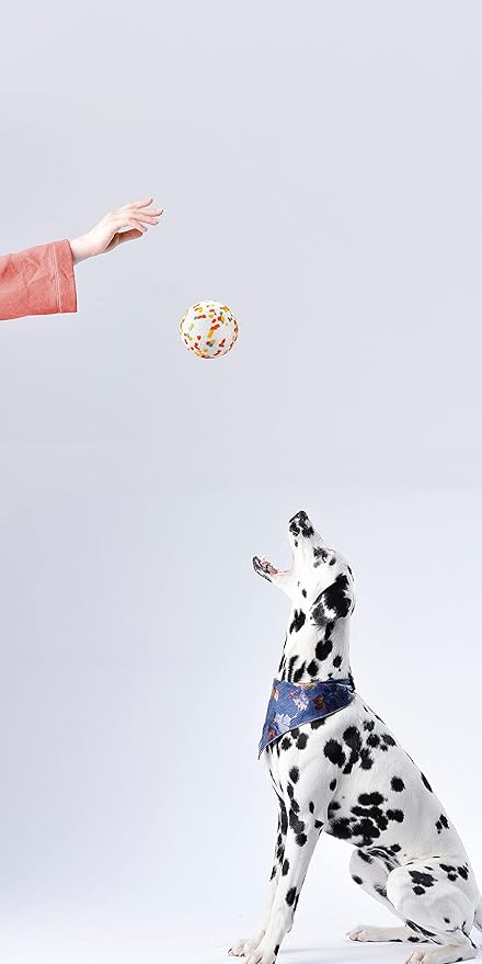 Dog Balls, Indestructible Dog Toy Ball for Aggressive Chewers, Durable High Elasticity Interactive Ball for Training Dog Catch and Fetch, Large Medium Small Dog and Puppies(3in, 4pcs)