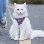 AIITLE Comfortable Dog Harness and Leash Set for Walking - Summer Step in Vest Harness,Reflective Bands, Adjustable No Pull Puppy Essentials, for Small Dogs and House Cats Pure Purple XS