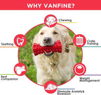 VANFINE Indestructible Squeaky Dog Toy – Tough Rubber Chew Toy for Aggressive Large Dogs, Durable and Safe for Interactive Play
