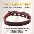 ADITYNA Leather Dog Collar for Small Dogs - Classic, Soft, Strong, Heavy Duty, Handmade Top-Grain Leather - for Walking, Training, and Hiking