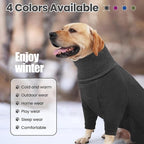petapparel