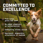 Wild Wolf 12-inch Angus Bully Sticks (8oz.) Healthy, All-Natural, Long-Lasting Dog Chew Bones - Low Odor - Mixed Thickness - Lab-Tested, Hand-Inspected and Packed with Love in The USA