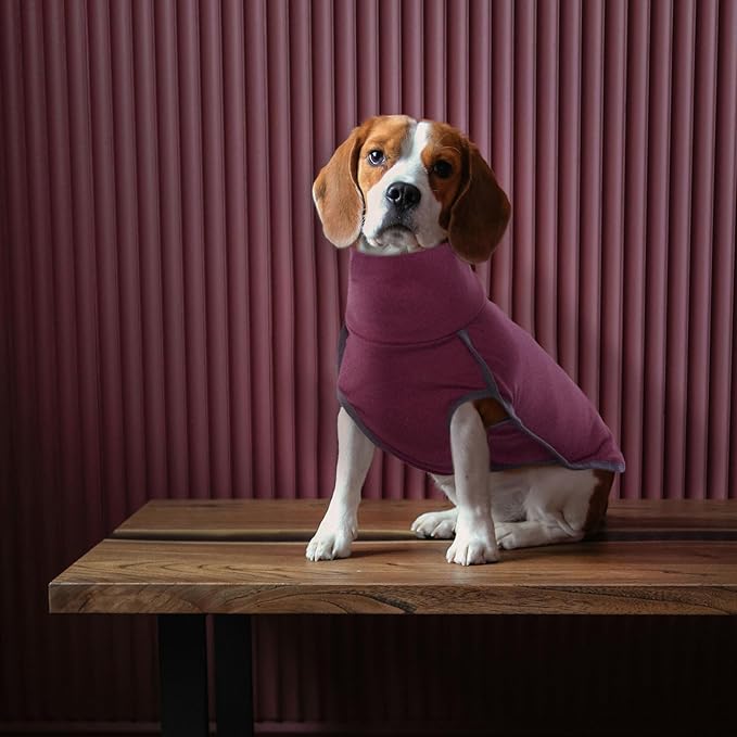 ROZKITCH Dog Sweatshirts for Small Dogs, Winter Dog Vest, Elastic Turtleneck Sweater, Lightweight Pet Shirt for Small to Large Dogs, Red S