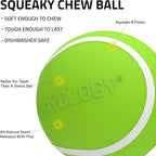 Playology Dog Toys | Squeaky Chew Ball - Bouncy Durable Floating Fetch Ball for Dogs | Medium Sweet Potato Scented Toy - Easy to Clean and Made from Non Toxic Materials