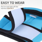 PUPTECK Soft Mesh Cat Vest Harness and Leash Set Puppy Padded Pet Harnesses Escape Proof for Cats Small Dogs Rabbits Bunny