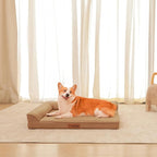 Orthopedic Dog Beds Large Sized Dog, Memory Foam Pet Bed for Medium and Large Dogs, Removable and Washable Microsuede Cover, TPU Waterproof Liner, Nonskid Bottom, 41x27x6 Inches, Khaki