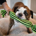 Jolly Pets Knot-N-Chew Tube Squeaker Green/Black Small/Medium