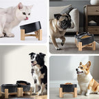 SPUNKYJUNKY 15° Slanted Ceramic Dog and Cat Bowl with Wooden Stand, Tilted Bulldog Food and Water Bowl No Slip Non-Spill for Cats Medium Dogs Big Face Pets 28.7 OZ (3.6 Cups, Black)