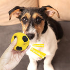 2.6'' Latex Squeaky Dog Soccer Ball Toys - Football for Small to Large Dogs, Vibrant Colors - 6 Pcs/Set