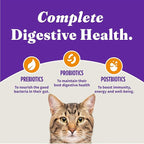 Halo Holistic Cage Free Chicken Cat Food, Grain Free Dry Cat Food, For Healthy Weight Support, Kibble for Indoor Cats, 3 lb Bag