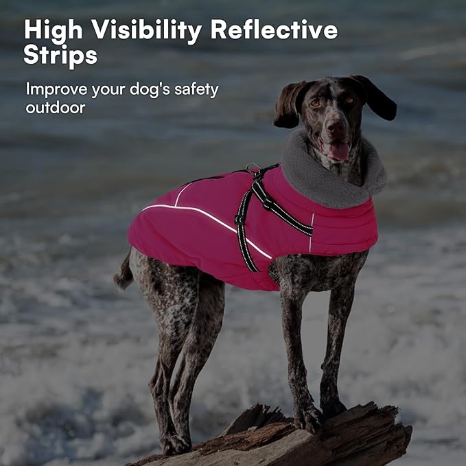 Queenmore Dog Jackets for Large Dogs, Dog Coat with Harness Built in,Waterproof Dogs Coats with Zipper On Back,Warm Fleece Lining Cold Weather Pet Coats with Furry Collar for Labrador,Rosered,L