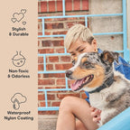 Wild One Dog Collar, Easy-Clean, All Weather Flex-Poly Strap with Metal, Durable, Dirt and Odor Resistant (Black, M)