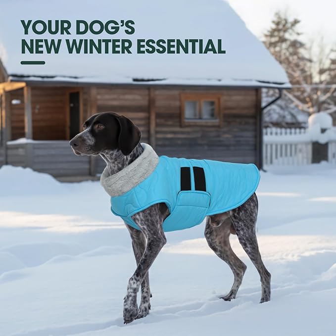 Kuoser Dog Jacket, Dog Coats for Large Dogs Winter Waterproof, Doggie Vest with Leash Hole, Canine Cold Weather Coats Doggie Snow Jacket for Labrador Beagle, Blue XL
