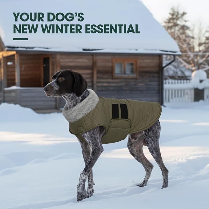 Kuoser XXXL Giant Dog Coat | Great Dane -20°C Arctic Jacket - Adjustble Hook Loop & Full Belly Wrap