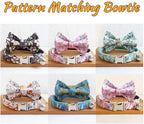 Personalized Cat Collar with Name Plate,Adjustable Tough Nylon Cat ID Collars with Bell,Customize Engraved Pet Name and Phone Number (Flower Style)