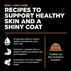 Go! Solutions Skin + Coat Care, Dry Dog Food, Salmon Recipe with Grains, 3.5 lb Bag
