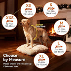 VIVAGLORY Softjoy Dog Coat, Dog Jacket for Winter & Christmas, Coat with Harness Hole & Velcro Closure, Reversible Plaid Checkered Warm Fluffy Heavy Duty for Puppy, M, Green