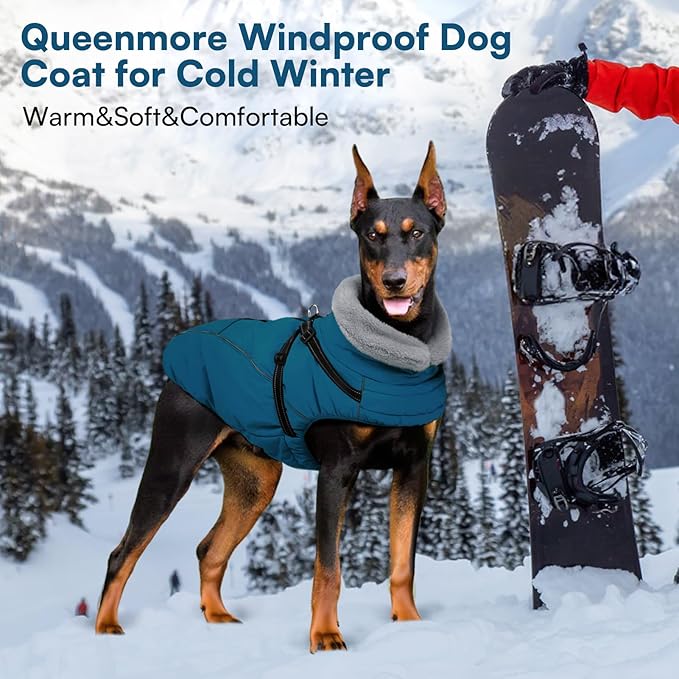 Queenmore Dog Jackets for Large Dogs, Dog Coat with Harness Built in,Waterproof Dogs Coats with Zipper On Back,Warm Fleece Lining Cold Weather Pet Coats with Furry Collar for Labrador,Blue,XL