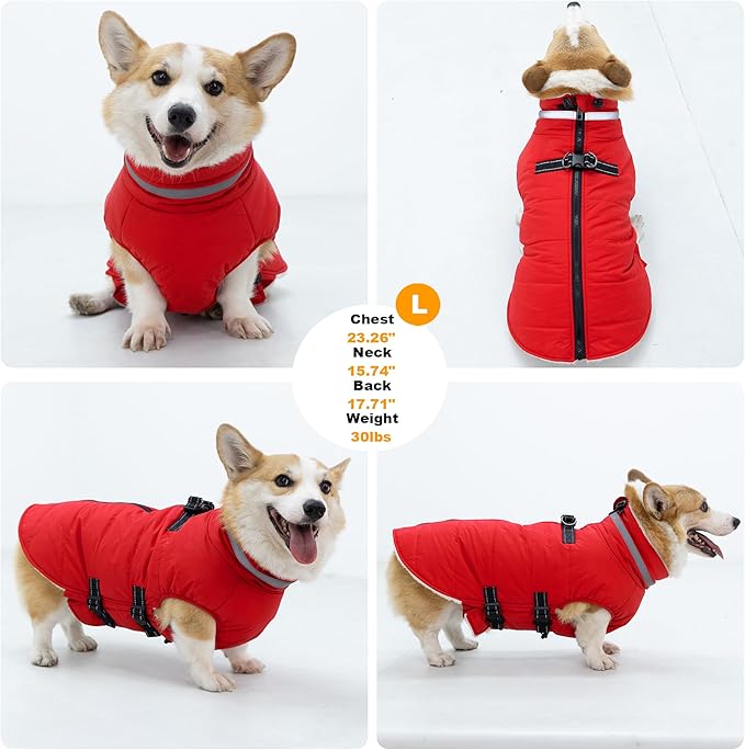 Small Dog Coat with Harness Built-in, Waterproof Reflective Fleece Lined - Warm Windproof Winter Jacket with Back Zipper, Cold Weather Snow Dog Coats - Red - XS