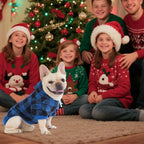 KOOLTAIL Plaid Dog Hoodie Pet Clothes Sweater with Hat and Pocket for Small Medium Large Size Dogs, Soft Winter Warm Dog Cold Weather Coat, Fleece Fall Dog Hooded Sweatshirt for Puppy Cats, Blue XS